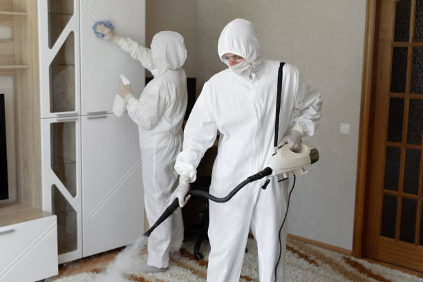 24/7 Emergency Odor Removal experts in Clinton, NJ
